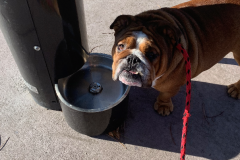 Mountain-View-2020-1177-of-1378