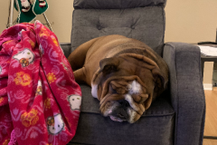 Mountain-View-2020-1244-of-1378