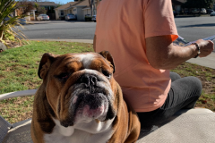 Mountain-View-2020-1269-of-1378