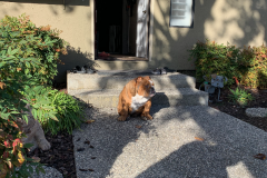 Mountain-View-2020-1277-of-1378