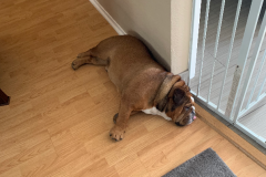 Mountain-View-2020-1279-of-1378