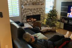 Mountain-View-2020-1281-of-1378