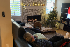 Mountain-View-2020-1282-of-1378