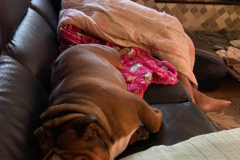 Mountain-View-2020-1288-of-1378