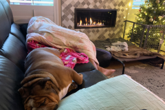 Mountain-View-2020-1289-of-1378