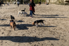 Mountain-View-2020-1293-of-1378