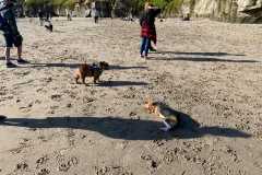 Mountain-View-2020-1294-of-1378