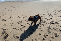 Mountain-View-2020-1298-of-1378