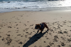 Mountain-View-2020-1299-of-1378