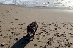 Mountain-View-2020-1300-of-1378