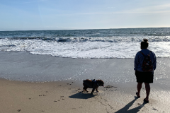 Mountain-View-2020-1301-of-1378