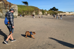 Mountain-View-2020-1303-of-1378