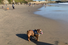 Mountain-View-2020-1306-of-1378