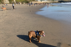 Mountain-View-2020-1307-of-1378