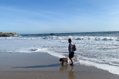 Mountain-View-2020-1308-of-1378