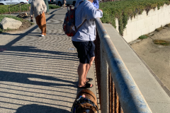 Mountain-View-2020-1312-of-1378