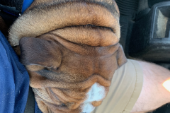 Mountain-View-2020-1315-of-1378