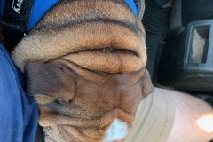 Mountain-View-2020-1316-of-1378