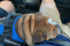 Mountain-View-2020-1317-of-1378