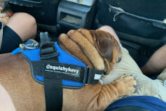 Mountain-View-2020-1330-of-1378