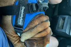 Mountain-View-2020-1336-of-1378