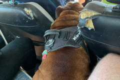 Mountain-View-2020-208-of-1378