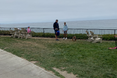 Mountain-View-2020-253-of-1378