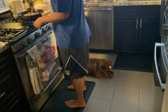 Mountain-View-2020-374-of-1378