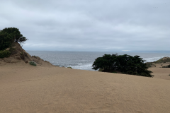 Mountain-View-2020-483-of-1378