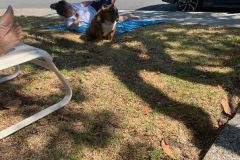 Mountain-View-2020-604-of-1378