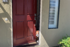 Mountain-View-2020-659-of-1378