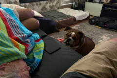 Mountain-View-2020-804-of-1378