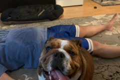 Mountain-View-2020-839-of-1378