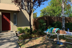 Mountain-View-2020-934-of-1378