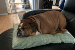 Mountain-View-2021-1341-of-1378