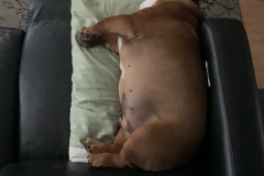 Mountain-View-2021-1374-of-1378