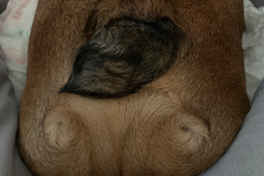 Mountain-View-2021-1375-of-1378