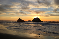 San-Fransicso-2015-113-of-1378