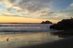 San-Fransicso-2015-114-of-1378