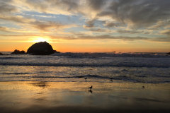 San-Fransicso-2015-115-of-1378