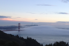 San-Fransicso-2015-38-of-1378