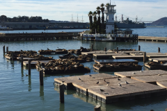 San-Fransicso-2015-95-of-1378