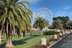 San-Fransicso-2020-1141-of-1378