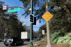 San-Fransicso-2020-1150-of-1378