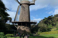 San-Fransicso-2020-1152-of-1378