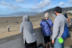 San-Fransicso-2020-1156-of-1378