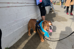 San-Fransicso-2020-1158-of-1378