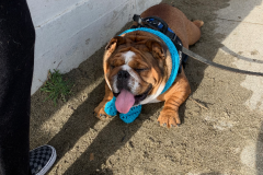 San-Fransicso-2020-1159-of-1378