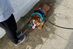 San-Fransicso-2020-1160-of-1378