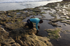 Santa-Cruz-2015-52-of-1378
